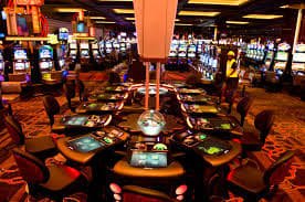 nett77 live casino provider evolution gaming dan pragmatic play dealer profesional